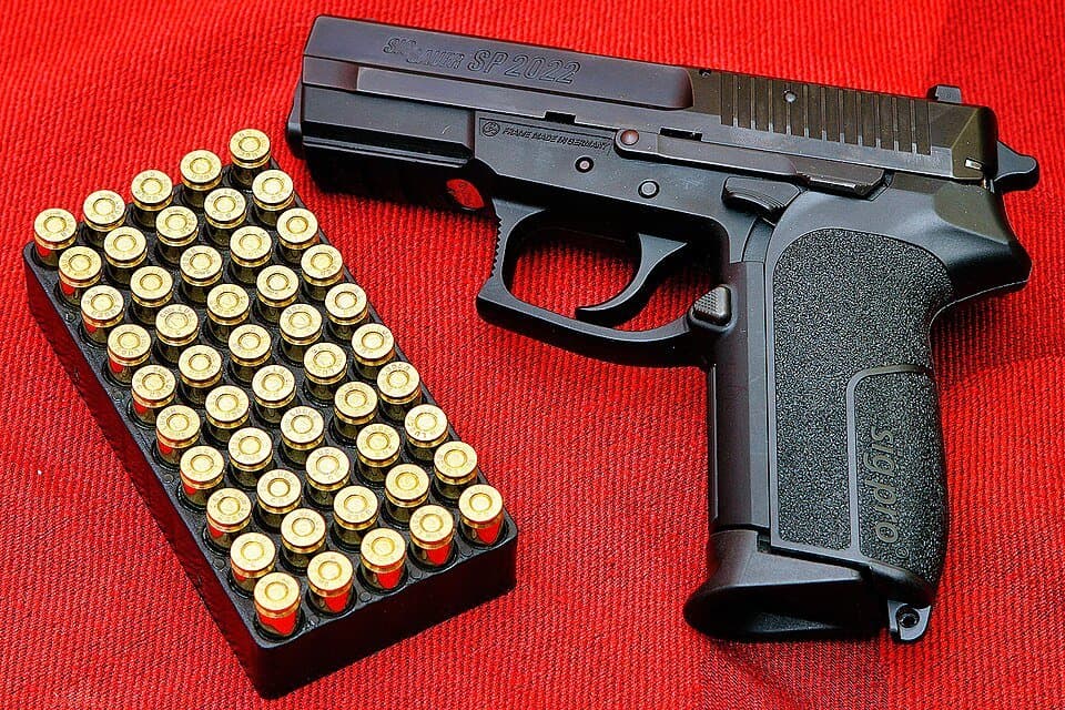 SIG Pro — licensed reference photograph