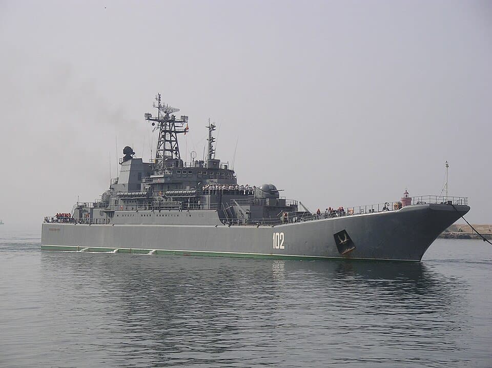Ropucha-class landing ship — licensed reference photograph