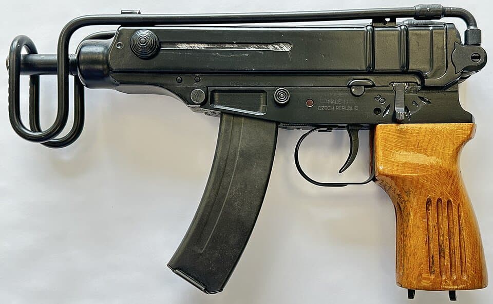 Škorpion — licensed reference photograph
