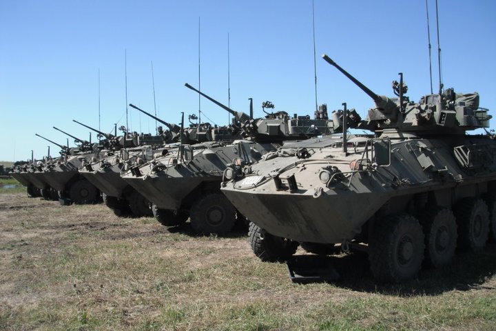 Bison and Coyote armoured vehicles — licensed reference photograph