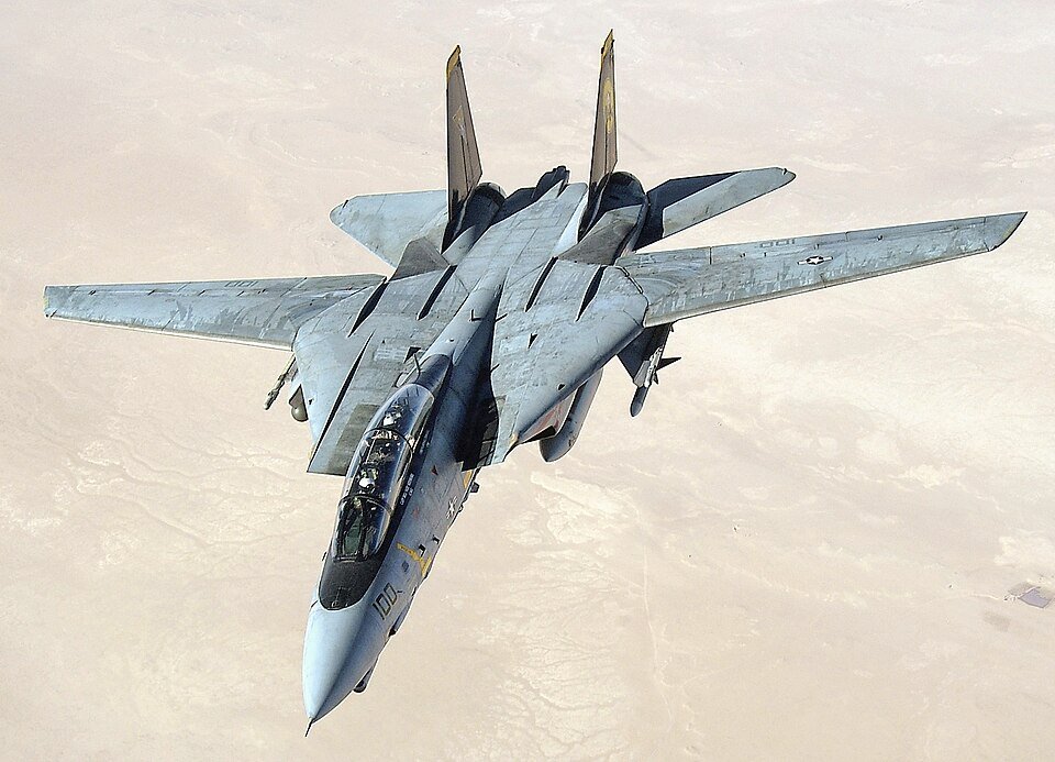 Grumman F-14 Tomcat — licensed reference photograph