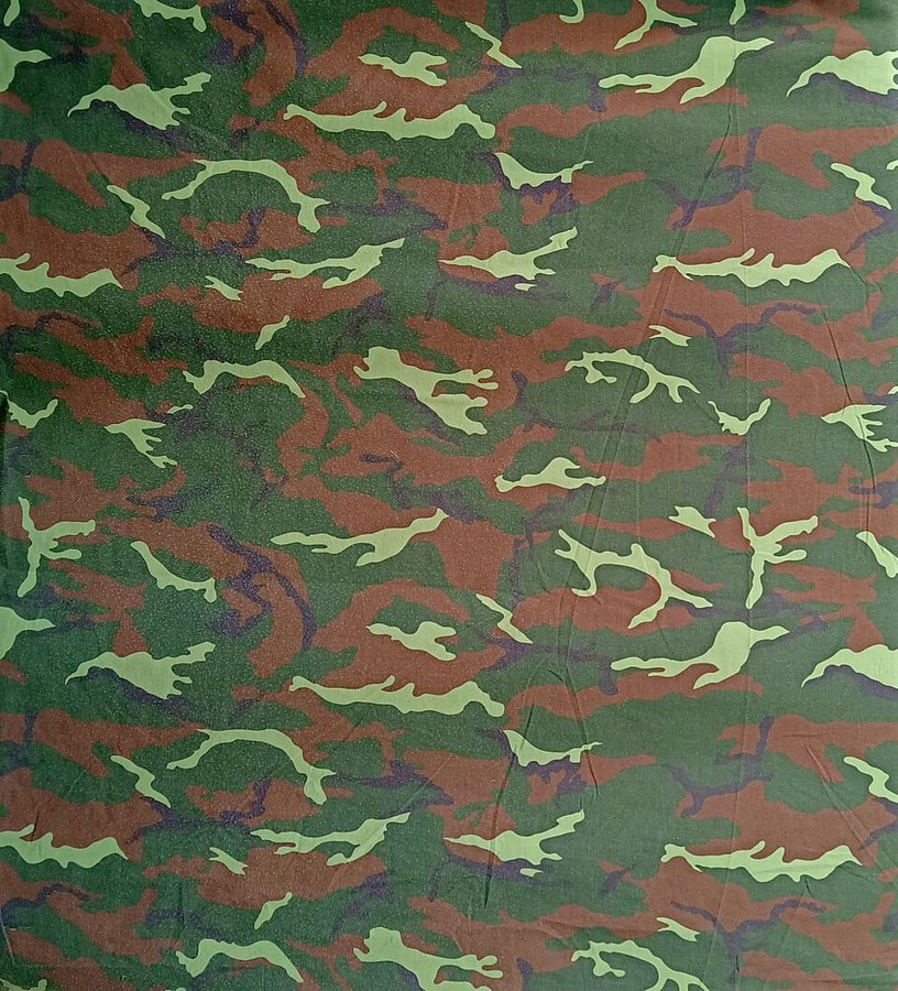 K20 (camouflage) — licensed reference photograph