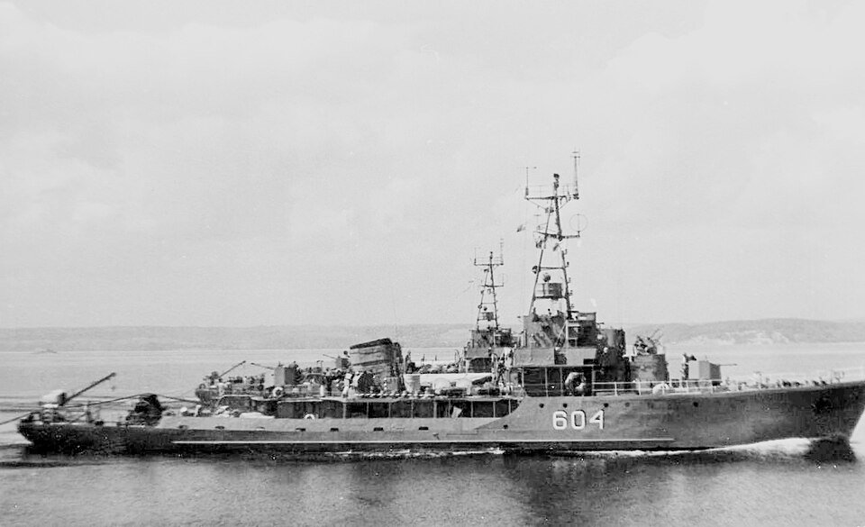 T43-class minesweeper — licensed reference photograph